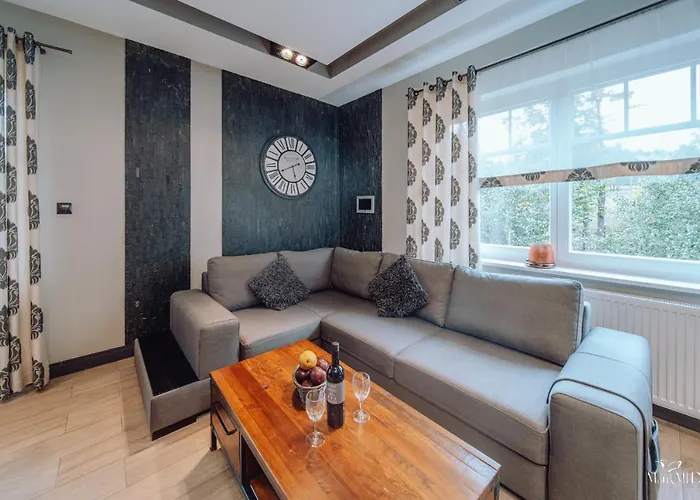 Апартаменты Dolina Wikingow Urnes 08